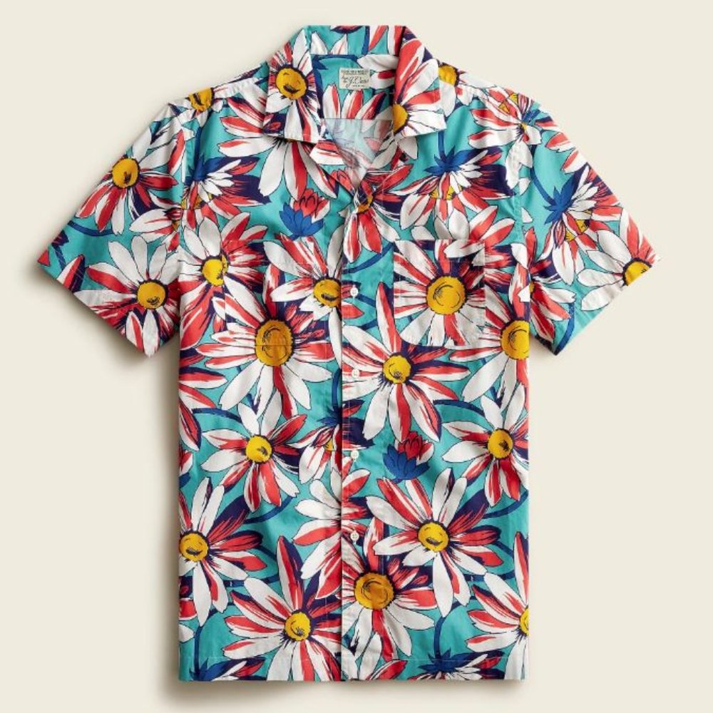 Awesome J Crew short sleeved shirt RARE